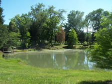 private pond off back deck